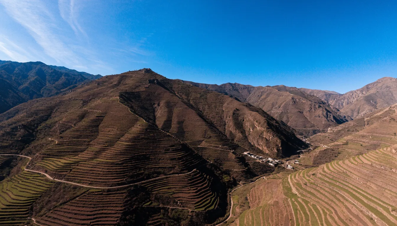 High-altitude agricultural fields in the Peruvian Andes where maca root is traditionally cultivated.